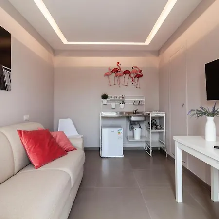 Dimorart Design In Apartman